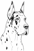 Dog Breed T-Shirt-Great Dane